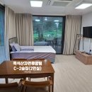 신선동-5 | 흑석산자연휴양림 숲집 C-2 후기와 아이와 함께 해남여행 가볼만한 곳 : 산이정원 물놀이장 : 공룡박물관
