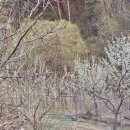 오백농장 이미지