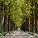 힐링 다도여행 이미지