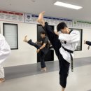 태권도 비전팀 이미지