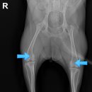 나온동물병원 이미지