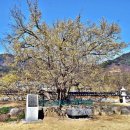 수지면 고정마을 이미지