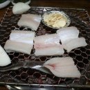 꼼장어네 이미지