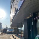 유스카이무인호텔 | [속초] 반려견동반 숙소 월드스카이호텔