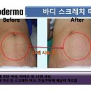 스킨앤바디(SKIN & BODY)