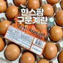 3살 아이 간식 추천 짜라란 맥반석 구운계란 농업회사법인한스팜