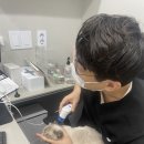 포천동물병원 이미지