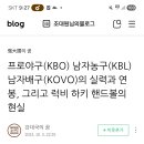프로야구(KBO) 및 프로농구(KBL)와 관련된 이야기