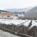숙골농장 네이버블로그