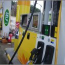 주유전자 이미지