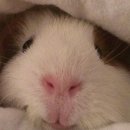 엠뮤직펍 이미지