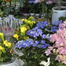 도운화원