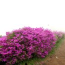 벽계관광지 통나무집 이미지