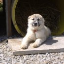 승준농장 이미지