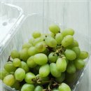 청포도 이미지