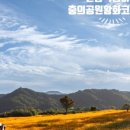 충의공원 네이버블로그