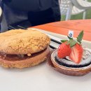 고성군청신관(3층) | 속초 분위기 좋은 오션뷰 대형 카페_ 바다정원 카페 [주차장, 빵 종류, 메뉴, 애견 동반]