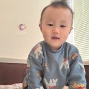 무초프루토 이미지