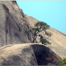 푸른솔길 이미지