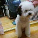 서울프라임 동물병원 이미지