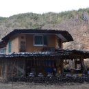 윤미자농장 이미지