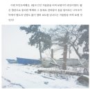 무인도 개척기 : 영화같은 삶,서바이벌리스트 이미지