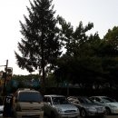 동명근린공원(축구장) 이미지