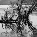 소금랜드 이미지