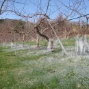 하늘 농장 이미지