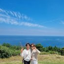 특별해짐 | 제주도 미니버스 투어로 제주 여행이 더 특별해진 이유