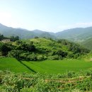 지리산숲길 이미지