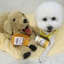 하행스