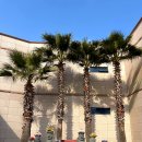 상창리-1 | 제주 가볼만한곳 피규어뮤지엄 _ 영화 만화속 캐릭터를 아이와함께