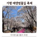 에덴정비 | 가평 아기랑 봄나들이 에덴벚꽃길 벚꽃축제 일요일 오전 방문 후기