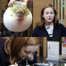 우리복어 이미지