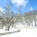 안반데기 목장 이미지