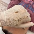 어센틱스파 | 어센틱스파 일산 세라링 후기 솔직정리