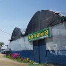 종숙농장 이미지