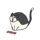 카페희다 이미지