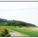 베스트원부동산중개법인주식회사 이미지