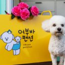 어부바펜션 이미지