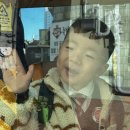 알콩달콩어린이집 | 엄마 눕눕 이슈로 아빠랑 단둘이 알콩달콩 일주일