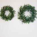 올리브조화 이미지