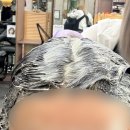 수빈 | 죽전동 미용실 웨스트헤어그라슈 염색 내돈내산 후기(수빈쌤)