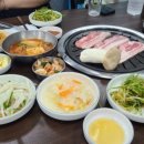 암돼지한마리 암소한마리 이미지