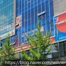 더바른마디의원