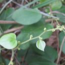 대가식당 이미지