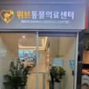 아람 동물병원 | 김포 위브 동물 병원, 여기 찐이네!(내 돈 내산 후기!)