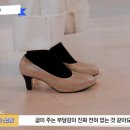 슈올즈미아