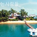 섬을찾는사람들 이미지